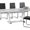 MAXWELL PU Dining Chair with Stainless Steel Frame - Set of 2