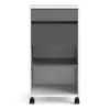 FUNCTION PLUS Mobile File Cabinet 2 Drawers 1 Shelf in White and Grey - Image 11