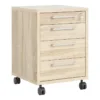 PRIMA Mobile Cabinet in Oak