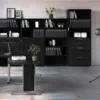 PRIMA Bookcase 2 Shelves with 2 Drawers + 2 File Drawers in Black Woodgrain - Image 11