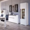 TORONTO Tall Narrow Glazed Display Cabinet with Internal Shelves and Lighting - Image 4