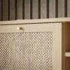 CALASETTA 2 Doors1 Shelf TV Unit in Rattan - Image 7