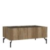 KENDALL Coffee Table with 2 Drawers in Oak and Black