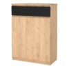 NAIA Shoe Cabinet with 2 Doors 1 Drawer in Jackson Hickory Oak & Black - Image 3