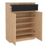 NAIA Shoe Cabinet with 2 Doors 1 Drawer in Jackson Hickory Oak & Black - Image 5