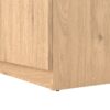 NAIA Shoe Cabinet with 4 Doors 1 Drawer in Jackson Hickory Oak & Black - Image 10
