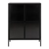 NEWCASTLE Low 2 Doors Display Cabinet in Matt Black Powder-Coated Steel - Image 2
