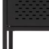 NEWCASTLE 2 Doors Cabinet in Matt Black Powder-Coated Steel - Image 6