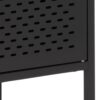 NEWCASTLE 2 Doors Cabinet in Matt Black Powder-Coated Steel - Image 8