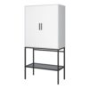 SLIMLINE 2 Doors Tall Cabinet with Steel Black Legs in Pure White - Image 2