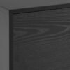 SEAFORD 2 Doors 1 Drawer TV Unit in Ash Black - Image 7